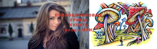 дмт Лагань