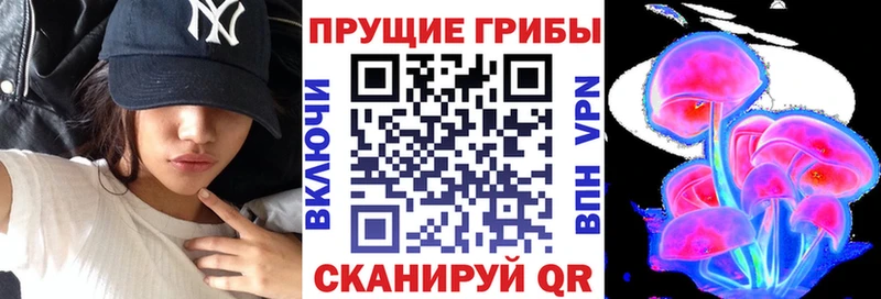 Галлюциногенные грибы Cubensis  наркошоп  Михайловка 