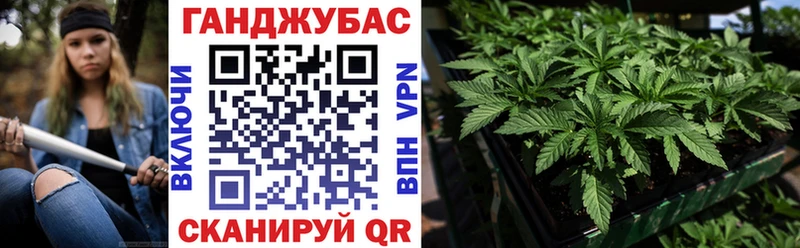 закладка  Михайловка  hydra маркетплейс  МАРИХУАНА тримм 